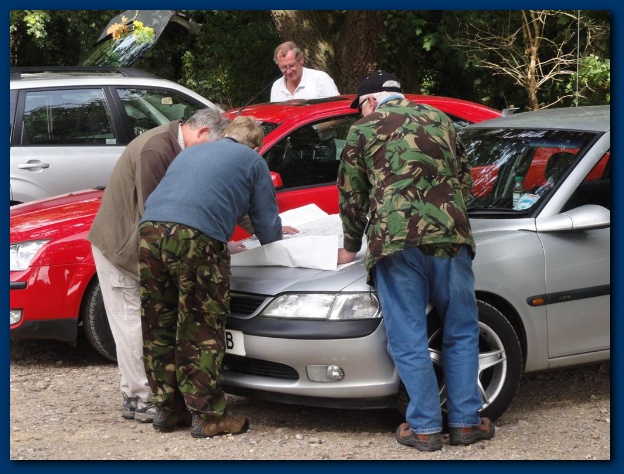 600x449 pixels (142K)